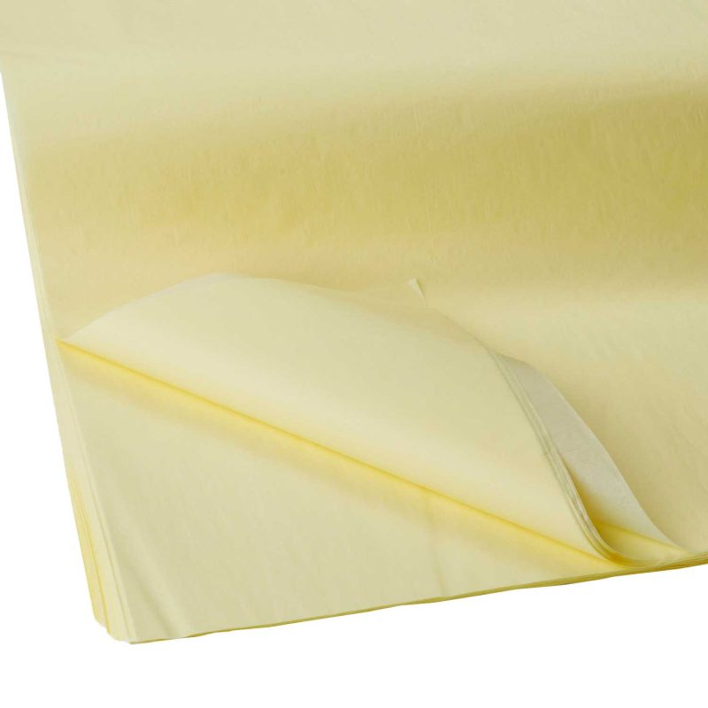 BFT43a Solid Color Pastel Yellow Tissue Paper Swatch 76af00fe 5394 49fc b2f9 2fe2cdee7b97